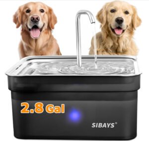 Read more about the article SIBAYS cPet Water Fountain Review
